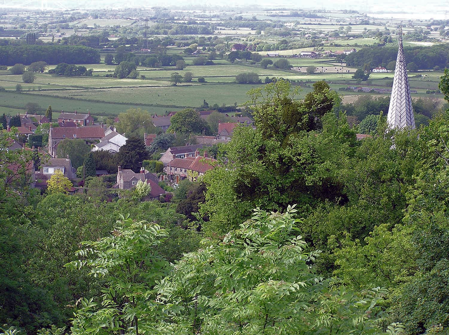 Image by Arpingstone from Wikimedia Commons. License: Public domain