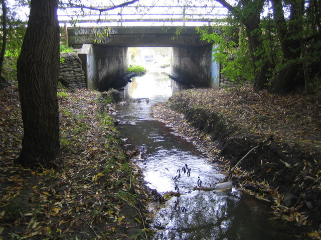 Dorcan Stream in Covingham, Swindon