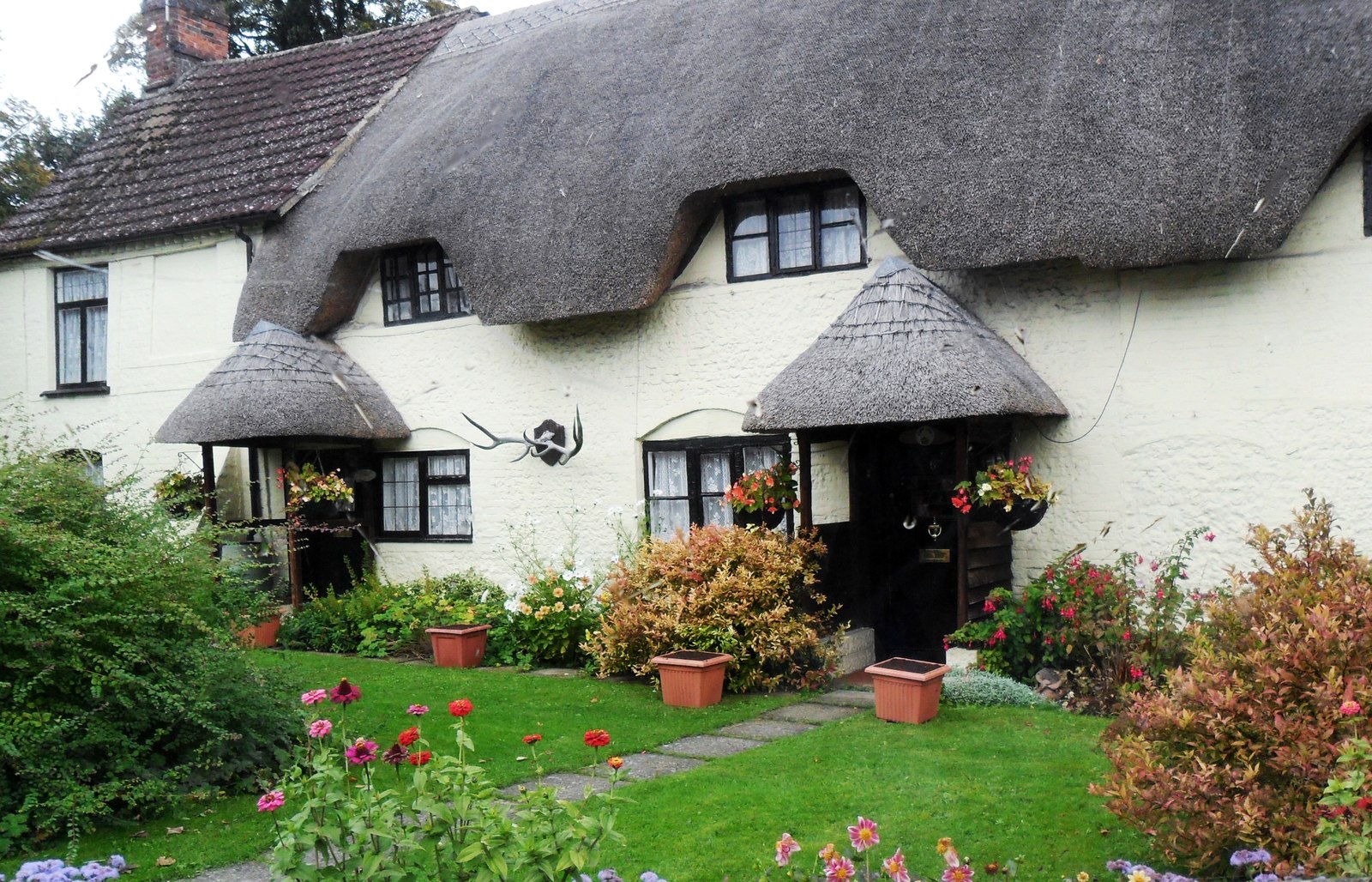 Thatched cottage and garden, Ludgershall, Wiltshire