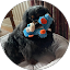 marj clarke Avatar