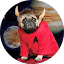 A Port Avatar